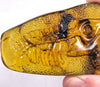 AMBER Crystal Dinosaur - Crystal Carving, Housewarming Gift, Home Decor, Healing Crystals and Stones, 52665-Throwin Stones