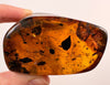 AMBER Stone - Insect Inclusion, Real Fossil - Tumbled Stones, Tumbled Crystals, Healing Crystals and Stones, 52716-Throwin Stones