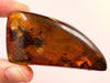 AMBER Stone - Insect Inclusion, Real Fossil - Tumbled Stones, Tumbled Crystals, Healing Crystals and Stones, 52716-Throwin Stones