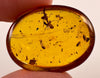 AMBER Stone - Insect Inclusion, Real Fossil - Tumbled Stones, Tumbled Crystals, Healing Crystals and Stones, 52728-Throwin Stones