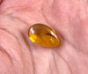 AMBER Stone - Insect Inclusion, Real Fossil - Tumbled Stones, Tumbled Crystals, Healing Crystals and Stones, 52762-Throwin Stones