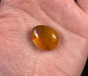 AMBER Stone - Insect Inclusion, Real Fossil - Tumbled Stones, Tumbled Crystals, Healing Crystals and Stones, 52764-Throwin Stones