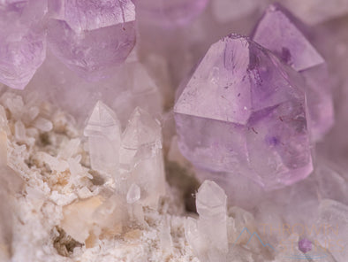 AMETHYST Raw Crystal - Birthstone, Unique Gift, Home Decor, Boho Decor, 40449-Throwin Stones