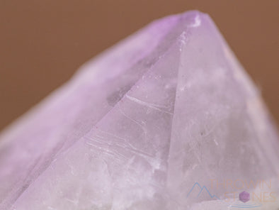AMETHYST Raw Crystal - Birthstone, Unique Gift, Home Decor, Boho Decor, 40454-Throwin Stones