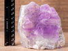 AMETHYST Raw Crystal - Birthstone, Unique Gift, Home Decor, Boho Decor, 40464-Throwin Stones