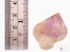 AMETHYST Raw Crystal - Scepter - Birthstone, Housewarming Gift, Home Decor, Raw Crystals and Stones, 39324-Throwin Stones