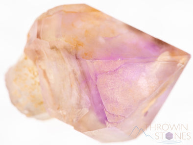 AMETHYST Raw Crystal - Scepter - Birthstone, Housewarming Gift, Home Decor, Raw Crystals and Stones, 39324-Throwin Stones