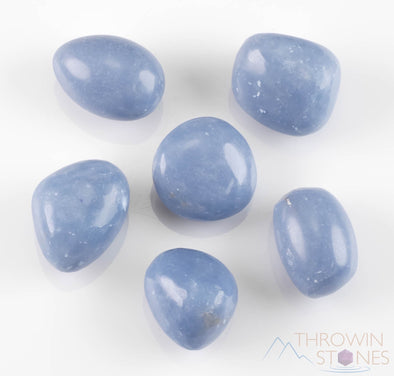 ANGELITE Tumbled Stones - Blue Anhydrite - Tumbled Crystals, Self Care, Healing Crystals and Stones, E0032-Throwin Stones