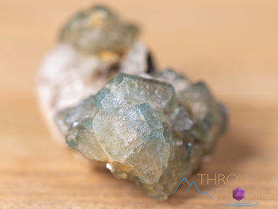 APATITE w MICA Raw Crystal Cluster - Housewarming Gift, Home Decor, Raw Crystals and Stones, 40659-Throwin Stones