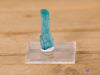 Blue TOURMALINE Raw Crystal Point - Birthstone, Gemstone, Jewelry Making, Healing Crystals and Stones, 40280-Throwin Stones
