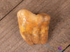 CAVE BEAR TOOTH Fossil - Prehistoric, Real Fossil, Dad Gift, Raw Crystals and Stones, 40902-Throwin Stones