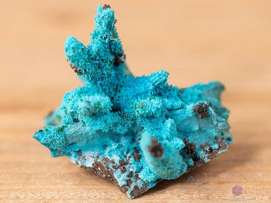 CHRYSOCOLLA Pseudomorph after AZURITE, MALACHITE Raw Crystal - Housewarming Gift, Home Decor, Raw Crystals and Stones, 40626-Throwin Stones