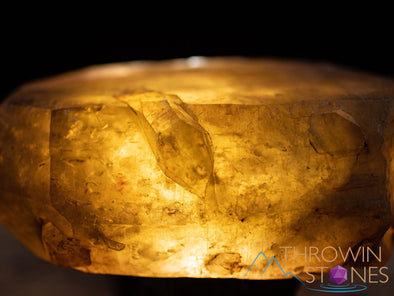 CITRINE Raw Crystal Point - Natural Citrine, Birthstone, Home Decor, Raw Crystals and Stones, 41151-Throwin Stones