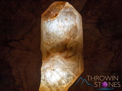 CITRINE Raw Crystal Point - Natural Citrine, Birthstone, Home Decor, Raw Crystals and Stones, 41157-Throwin Stones