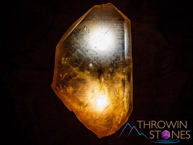CITRINE Raw Crystal Point - Natural Citrine, Birthstone, Home Decor, Raw Crystals and Stones, 41159-Throwin Stones