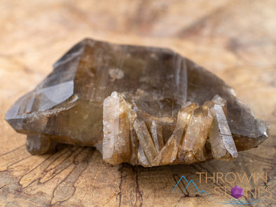 CITRINE Raw Crystal Point - Natural Citrine, Birthstone, Home Decor, Raw Crystals and Stones, 41165-Throwin Stones