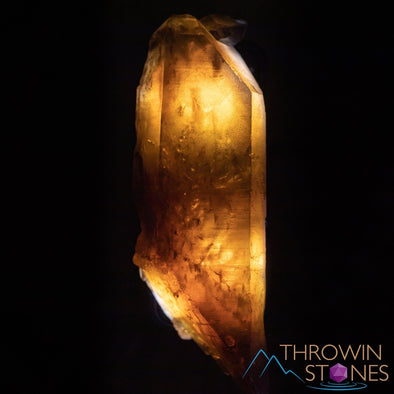 CITRINE Raw Crystal Point - Natural Citrine, Birthstone, Home Decor, Raw Crystals and Stones, 41169-Throwin Stones