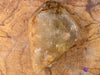 CITRINE Raw Crystal Point - Natural Citrine, Birthstone, Home Decor, Raw Crystals and Stones, 41183-Throwin Stones
