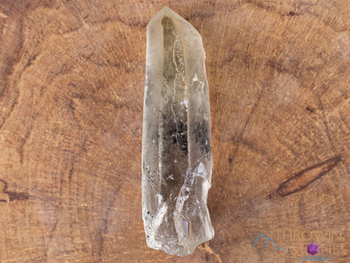 CITRINE Raw Crystal Point - Natural Citrine, Birthstone, Home Decor, Raw Crystals and Stones, 41432-Throwin Stones
