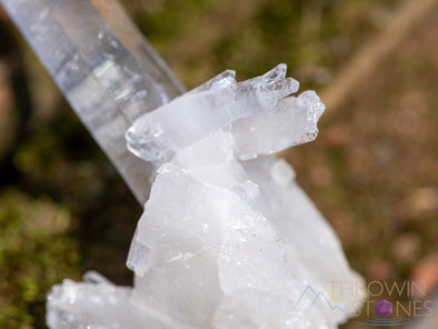 CLEAR QUARTZ Raw Crystal Cluster - Housewarming Gift, Home Decor, Raw Crystals and Stones, 39963-Throwin Stones
