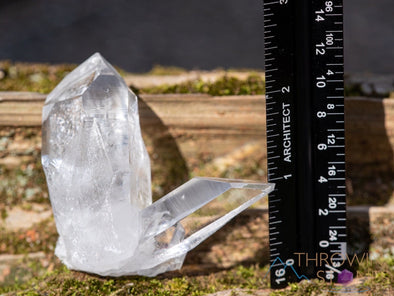 CLEAR QUARTZ Raw Crystal Cluster - Housewarming Gift, Home Decor, Raw Crystals and Stones, 39966-Throwin Stones