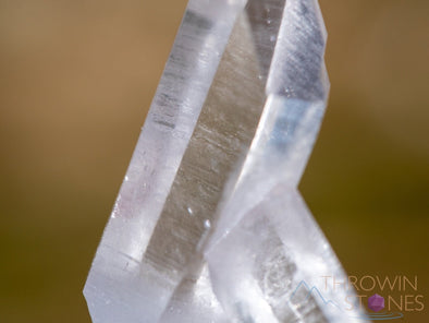 CLEAR QUARTZ Raw Crystal Cluster - Housewarming Gift, Home Decor, Raw Crystals and Stones, 39970-Throwin Stones