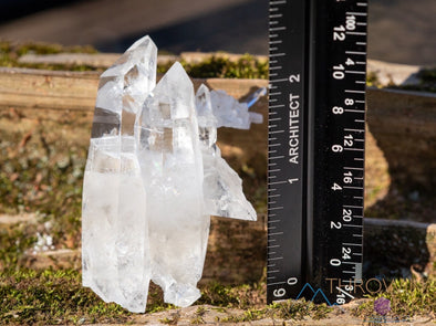 CLEAR QUARTZ Raw Crystal Cluster - Housewarming Gift, Home Decor, Raw Crystals and Stones, 39987-Throwin Stones