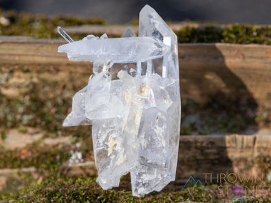 CLEAR QUARTZ Raw Crystal Cluster - Housewarming Gift, Home Decor, Raw Crystals and Stones, 39987-Throwin Stones