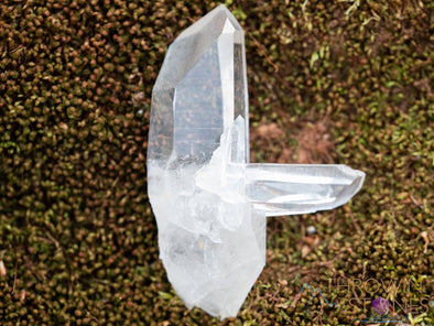 CLEAR QUARTZ Raw Crystal Point, Brilliant Top Grade - Housewarming Gift, Home Decor, Raw Crystals and Stones, 39899-Throwin Stones