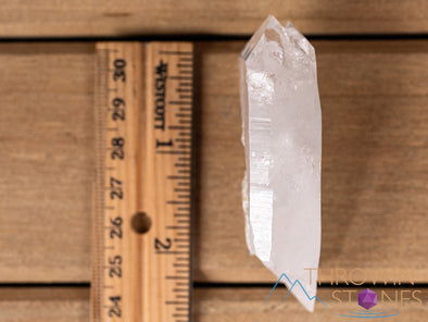 COOKEITE in Clear QUARTZ Raw Crystal - Housewarming Gift, Home Decor, Raw Crystals and Stones, 40837-Throwin Stones