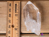 COOKEITE in Clear QUARTZ Raw Crystal - Housewarming Gift, Home Decor, Raw Crystals and Stones, 40839-Throwin Stones
