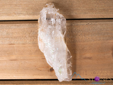 COOKEITE in Clear QUARTZ Raw Crystal - Housewarming Gift, Home Decor, Raw Crystals and Stones, 40844-Throwin Stones