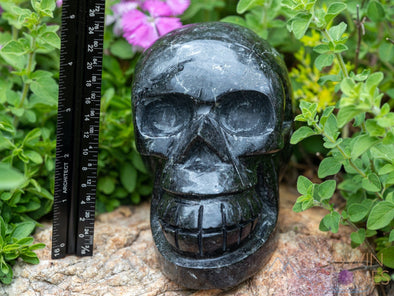 COPPERNITE Crystal Skull - Gothic Home Decor, Memento Mori, Halloween Decor, 40196-Throwin Stones