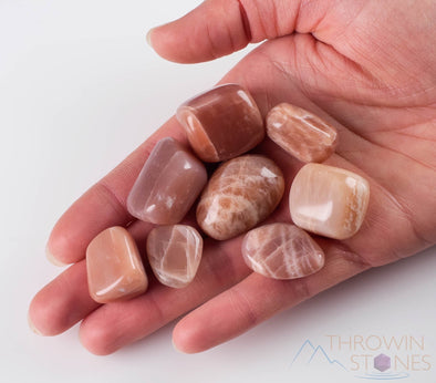 Chocolate MOONSTONE Tumbled Stones - Tumbled Crystals, Self Care, Healing Crystals and Stones, E1122-Throwin Stones