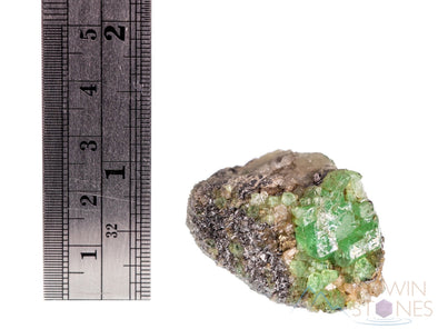 GARNET Raw Crystal Cluster - Housewarming Gift, Home Decor, Birthstone, Raw Crystals and Stones, 39318-Throwin Stones