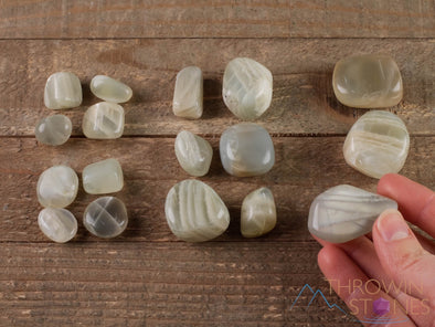 Green MOONSTONE Tumbled Stones - Tumbled Crystals, Self Care, Healing Crystals and Stones, E1150-Throwin Stones