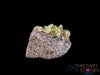 Green Tsavorite GARNET Raw Crystal Cluster - Genuine Garnet Crystal, Birthstone, Raw Crystals and Stones, 40020-Throwin Stones