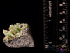 Green Tsavorite GARNET Raw Crystal Cluster - Genuine Garnet Crystal, Birthstone, Raw Crystals and Stones, 40020-Throwin Stones