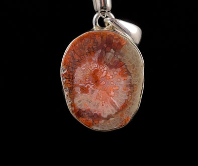 HORN CORAL Pendant - Real Fossil, Sterling Silver - Fine Jewelry, Healing Crystals and Stones, 52771-Throwin Stones