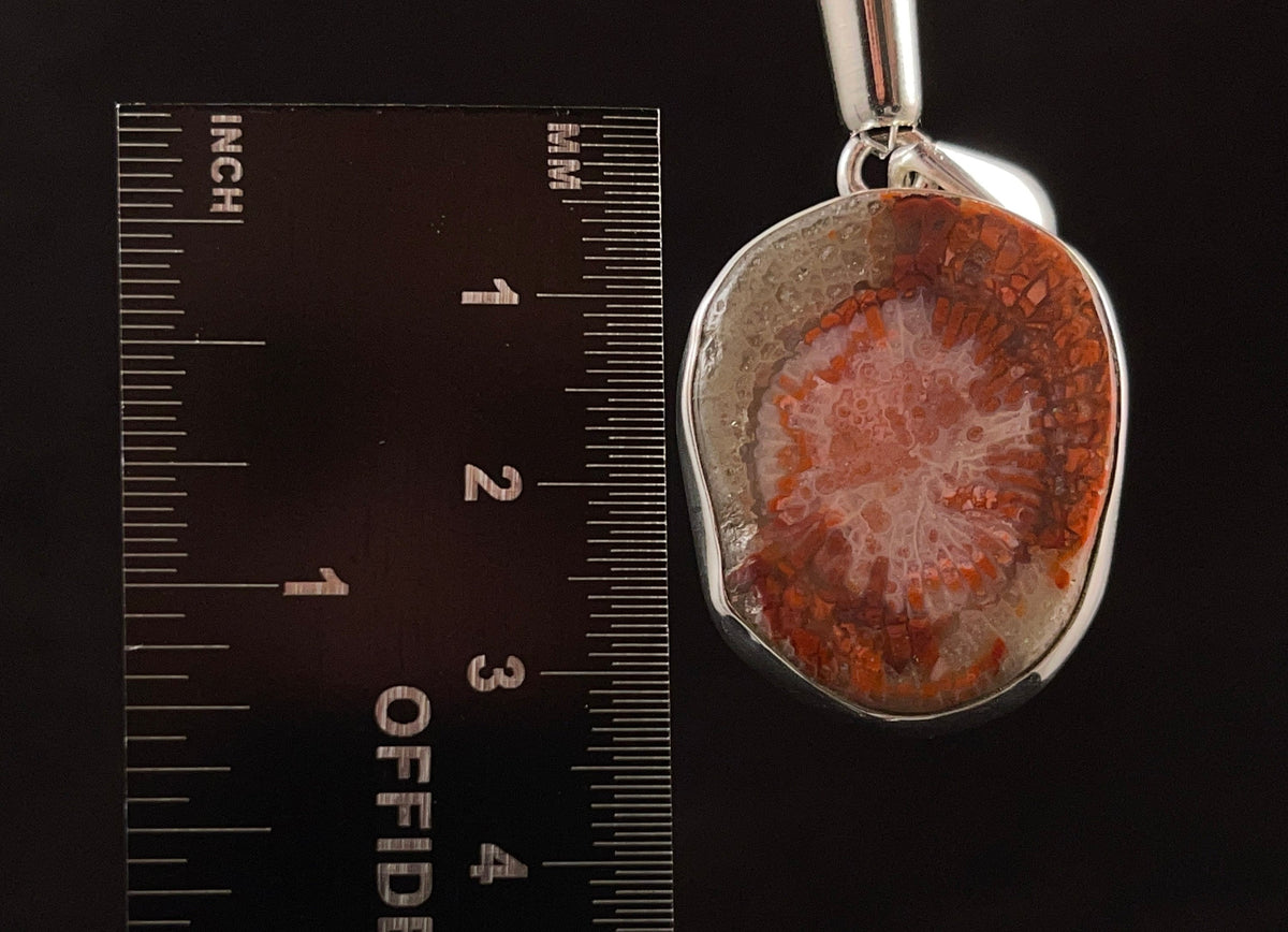 Coral Fossil Pendant online Coral Fossil Necklace Coral Fossil Jewelry Gemstone Jewelry Metaphysical Jewelry