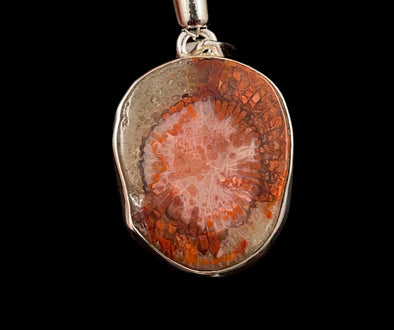 HORN CORAL Pendant - Real Fossil, Sterling Silver - Fine Jewelry, Healing Crystals and Stones, 52779-Throwin Stones