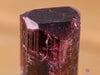 Liddicoatite TOURMALINE Raw Crystal - Top Grade - Birthstone, Gemstone, Jewelry Making, Healing Crystals and Stones, 40287-Throwin Stones