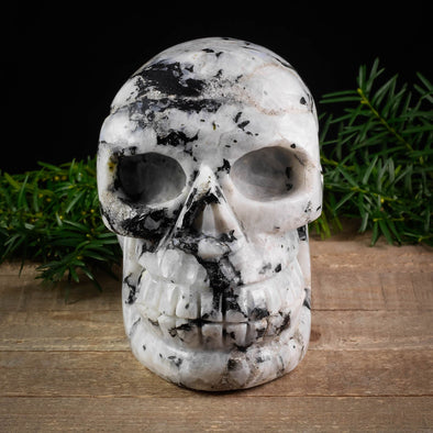 MOONSTONE Crystal Skull - Large - Gothic Home Decor, Memento Mori, Halloween Decor, Pastel Goth, 38766-Throwin Stones