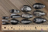 ORTHOCERAS FOSSIL - Real Fossil, Crystal Cabochon, Housewarming Gift, Home Decor, E0095-Throwin Stones