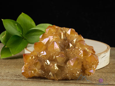 Orange Tangerine AURA QUARTZ Crystal Cluster - Rainbow Quartz Crystal, Spirit Quartz Cluster, Crystal Decor, R0510-Throwin Stones