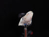 PAPAGOITE in QUARTZ, Raw Crystal - Rare, Metaphysical, Healing Crystals and Stones, 44657-Throwin Stones