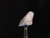 PAPAGOITE in QUARTZ, Raw Crystal - Rare, Metaphysical, Healing Crystals and Stones, 44657-Throwin Stones