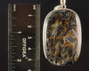 PIETERSITE Crystal Pendant - Top Grade AA, Sterling Silver - Fine Jewelry, Healing Crystals and Stones, 54169-Throwin Stones