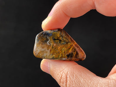 PIETERSITE Tumbled Crystal - Tigers Eye, Self Care, Healing Crystals and Stones, Metaphysical, 45717-Throwin Stones