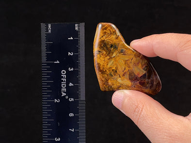 PIETERSITE Tumbled Crystal - Tigers Eye, Self Care, Healing Crystals and Stones, Metaphysical, 45825-Throwin Stones